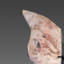Ailes de papillon rose améthyste rose sur pied