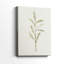 Olive Leaves III -Galerie enveloppée Cavas