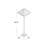 Cognato 59.5 " Traditional Floor Lamp