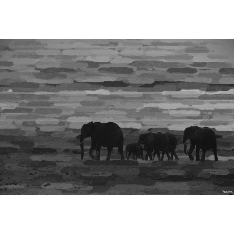 Parvez Taj - Wrapped Canvas Print, 41cm H x 61cm W x 3.8cm D