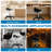 Saddle Stool with Wheels