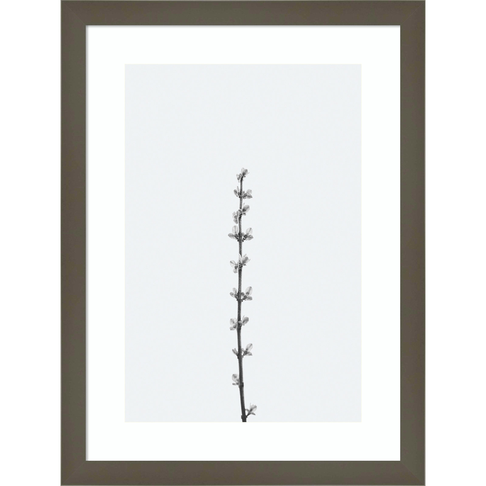Retro Tennessee Botanical No 1 Photo Print, Gray, 17" H x 13" W x 1" D