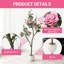 183cm Plant