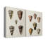 Collection Cone Shell III - Toile tendue avec châssis de qualité supérieure - Prêt à accrocher-1993016691