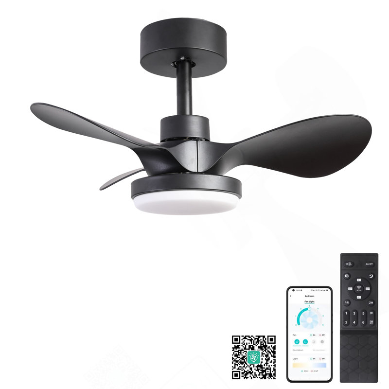 24" Small  Ceiling Fan With Light Remote Control, Black