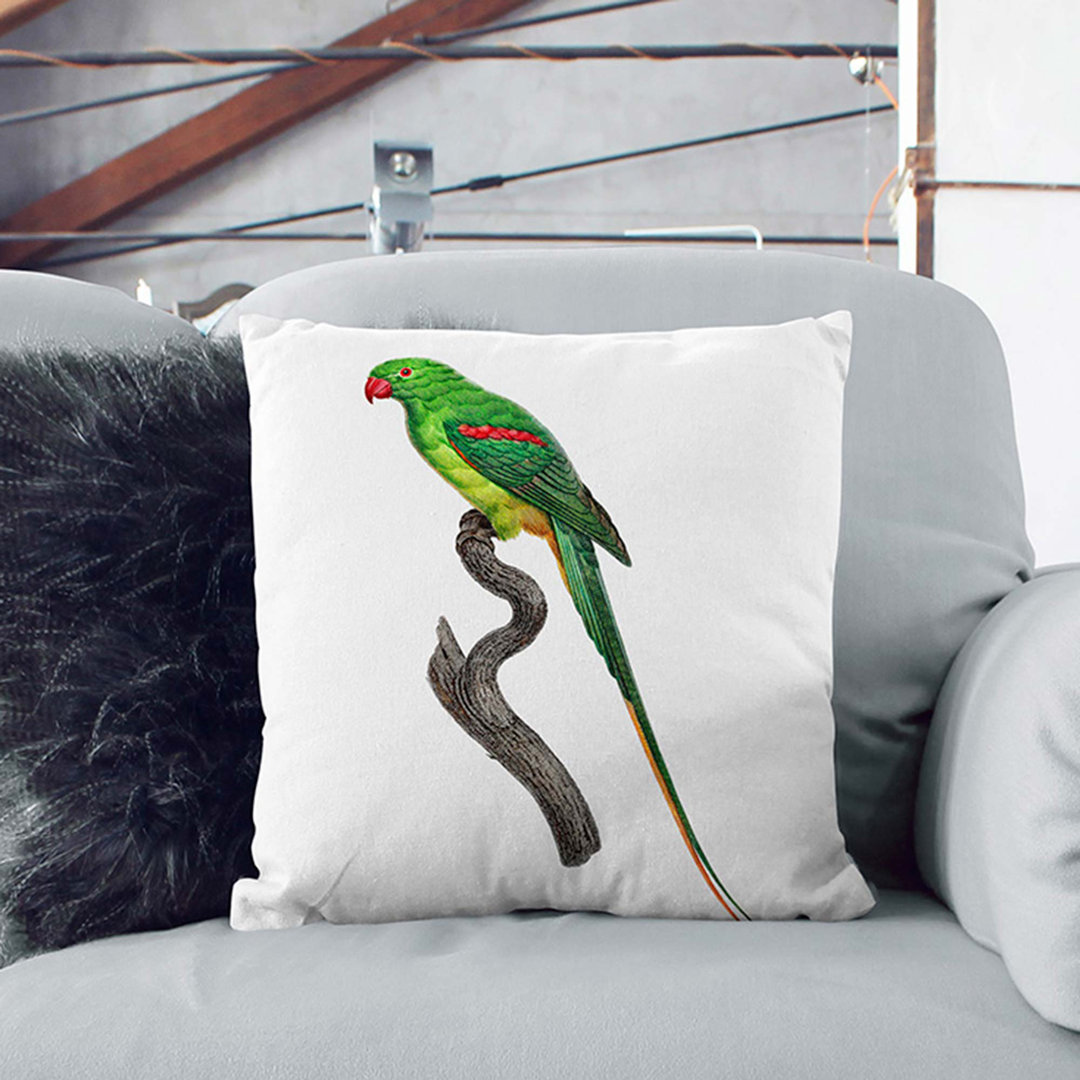 Alexandrine Parakeet Cushion with Filling