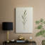 Olive Olive II - Cavas enveloppés de galerie-279610236