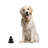 Lockbourne Animals Figurines & Sculptures-1558658650