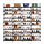 Range-chaussures - Range-chaussures empilable, panneaux en PP imperméables et tuyaux en métal robustes, facile à nettoyer pour le placard / garage / entrée