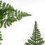 150cm Faux Plant in Metal Planter-1516446486