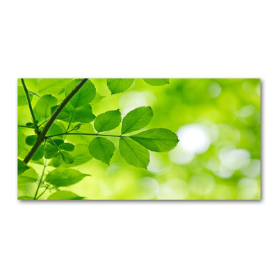 Green Leaves - Wrapped Canvas Print
