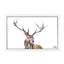 Hamish by Becksy - Floater Frame Painting on Canvas-159114472-159114473