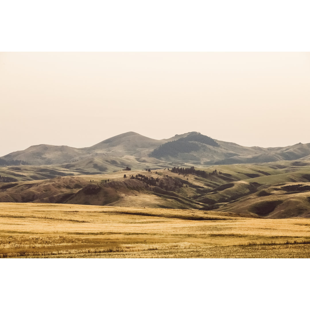 Montana Landschaft von Debibishop - Leinwandbild auf Leinwand