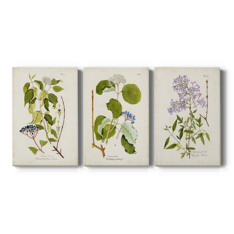 Tree in Bloom I  -Custom Wrapped Gallery Canvas - 3 Pieces