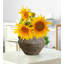 Vase en céramique rustique avec 2 poignées-648052844