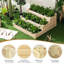 Kersaint Wood Raised Garden Bed