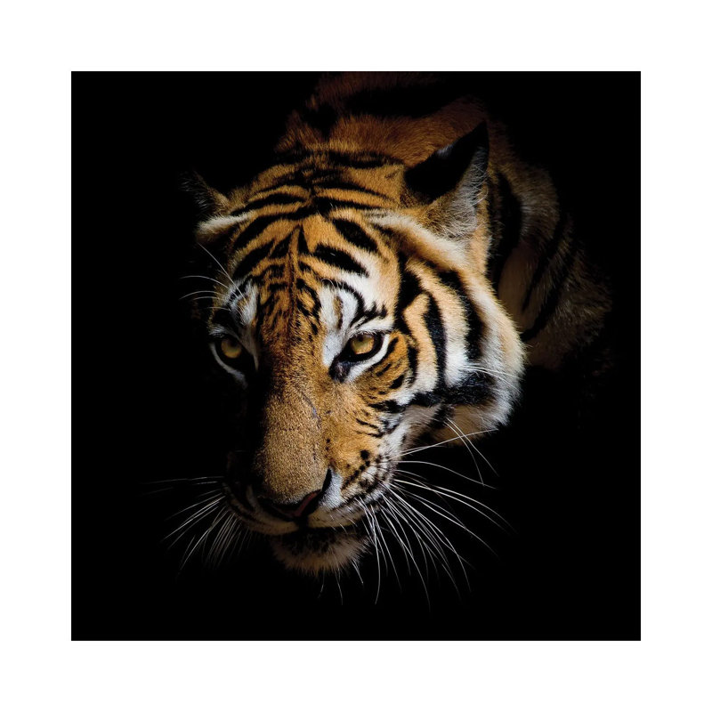 Harm by Kimberly Allen - No Frame Gallery-Wrapped Canvas Giclée on Canvas, 30.48cm H x 30.48cm W