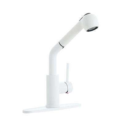 Mondawe Pull Out Kitchen Faucet