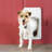 PetSafe Electronic Pet Door, Small-2845613