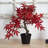 20'' Faux Bonsai Tree in Pot