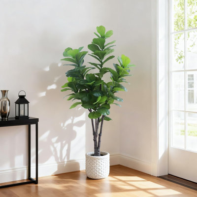 72cm Plant