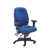 Blue is out of stock selected