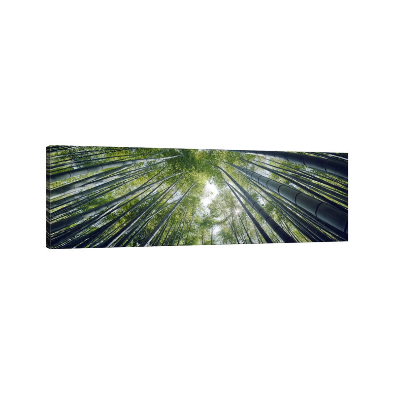 Low Angle View Of Bamboo Trees, Hokokuji Temple, Kamakura - Wrapped Canvas Panoramic Print