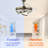 Idaline 42'' Retractable Ceiling Fan with LED Lights and Remote