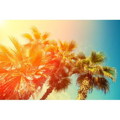 Retro Palm Trees Against Sky at Sunset - Wrapped Canvas Photograph -  Bay Isle Home™, F9B3B7EE43D9456BA45D2B759206E234