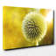 Wrapped Canvas Print-19042760