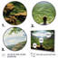 Yoga vert sacré-92008597-92008600