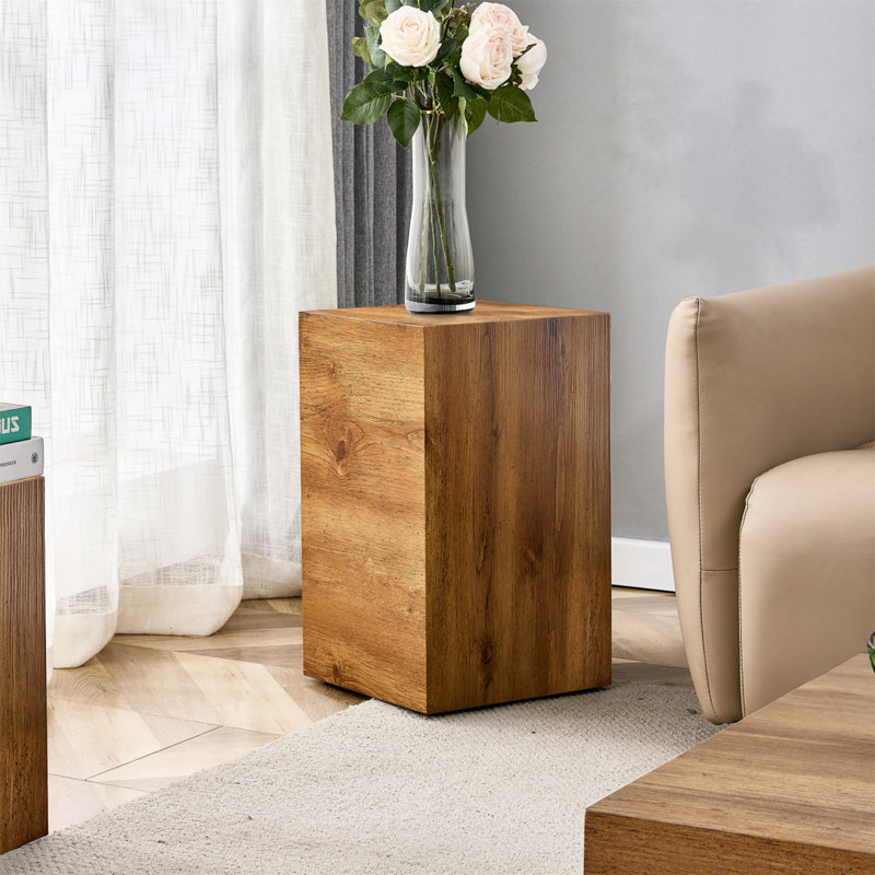 Table basse Chiszar, Brun, H 20 po x L 12 po x l 12 po