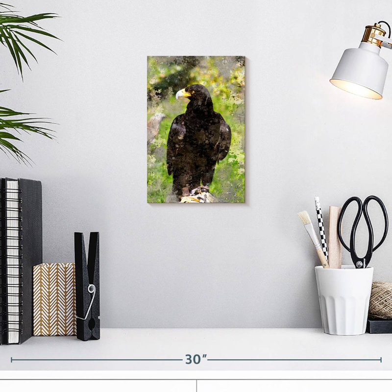 Brampt Majestic Black Eagle, 12" H x 8" W