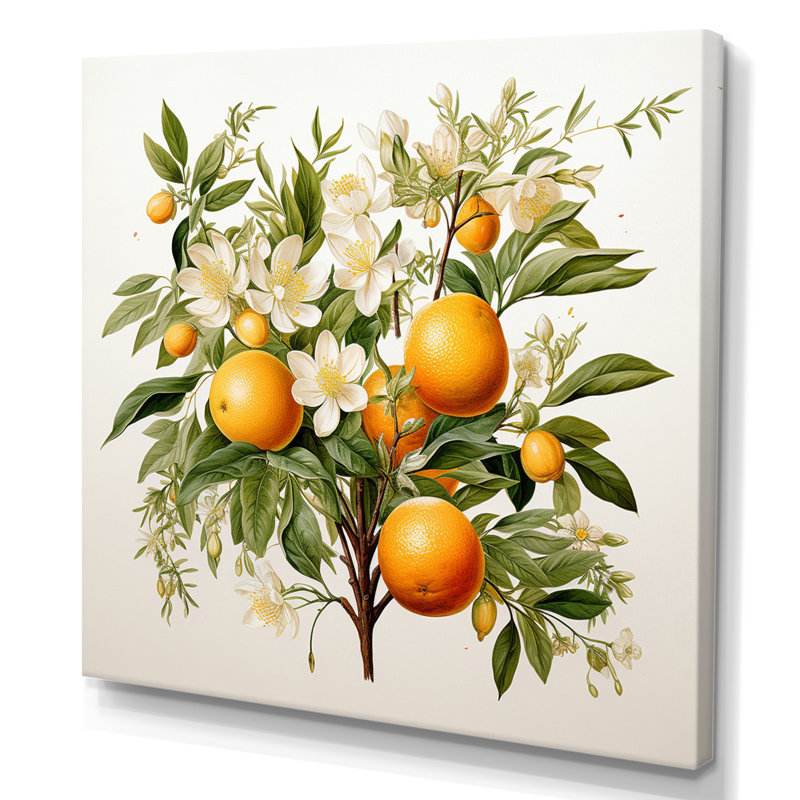 Fruit, art mural sur toile, arbre, reproduction botanique, H 30 po x l 30 po x P 1 po, Toile tendue