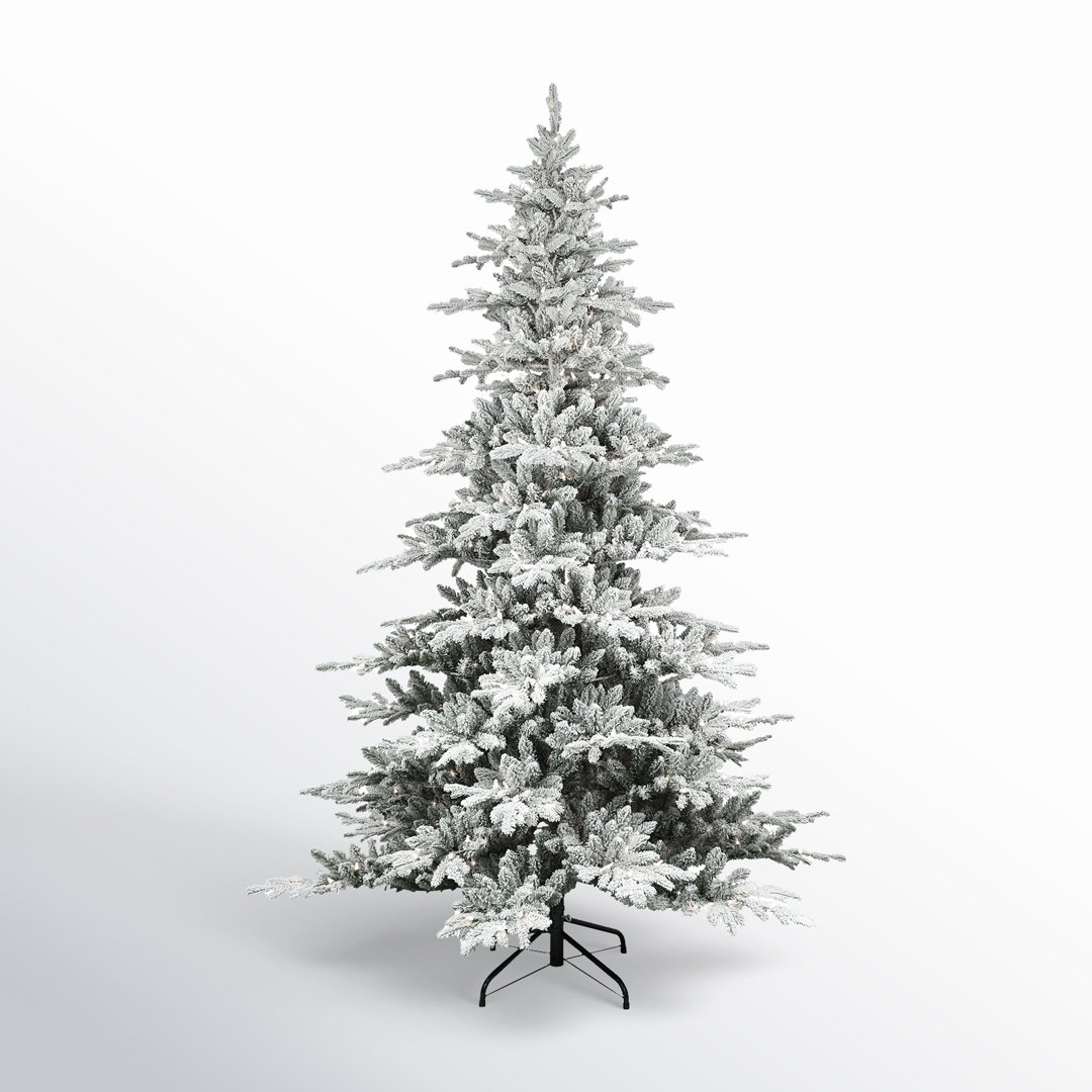 7.5' Lighted Fir Christmas Tree The Holiday Aisle®