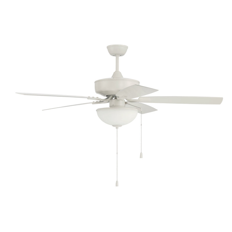 Ceiling Fan with LED Lights, White