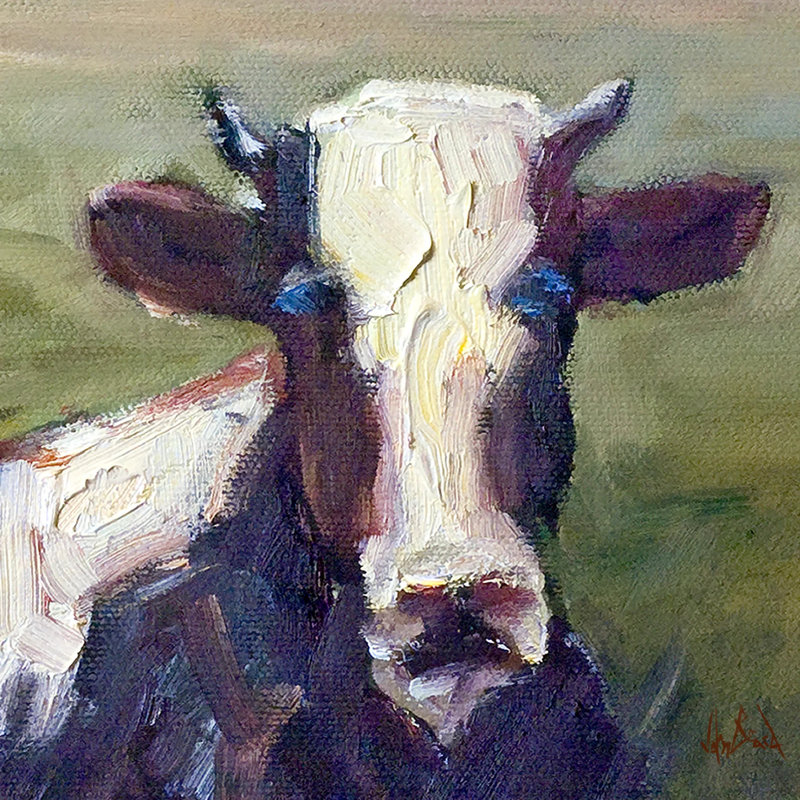 Moo Moo II By John Beard - Gallery Wrapped Canvas Print, Black Floater Framed