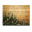 Cacti In The Golden Light II - Floral Cactus Wood Wall Decor - On Natural Pine Wood-1149293496