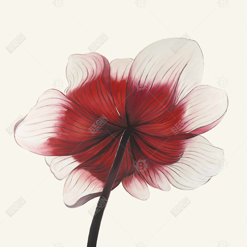Anemone red flower - 18"x18" Throw pillow cover - Poly twill - Print on demand, Red/White
