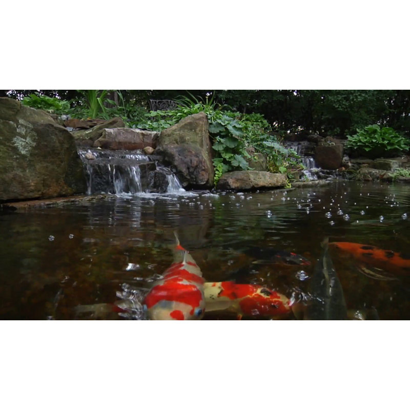 Aquascape 4-Outlet Pond Aeration Kit with Weighted Air Stones