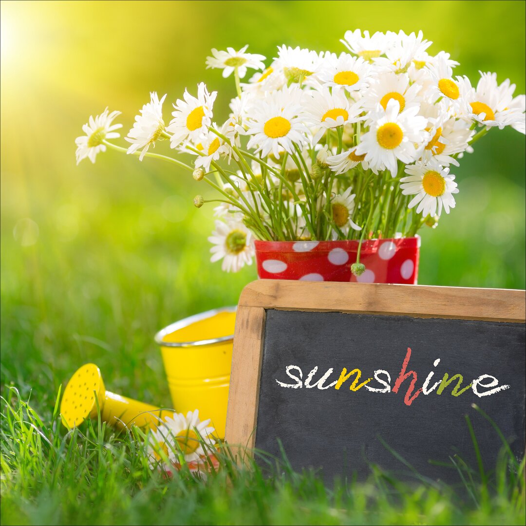 Glasbild Sunshine, Kunstdruck