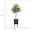 Sycomore artificiel en pot 76 po