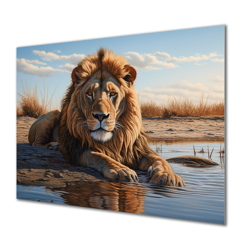 Lion se reposant au bord de la piscine d'eau - impression d'art mural lion, Sans cadre, métal, H 34 po x l 44 po