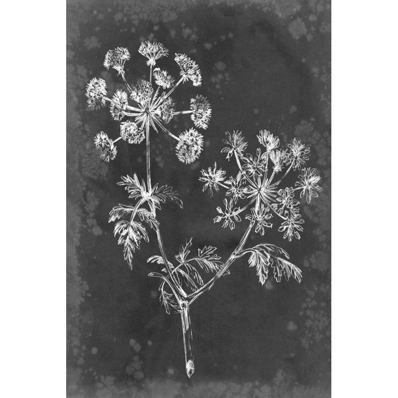 Slate Floral I by Ethan Harper - Wrapped Canvas Painting, 46cm H x 30cm W x 3.8cm D
