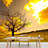 Forest Nature Landscape Border-93997438