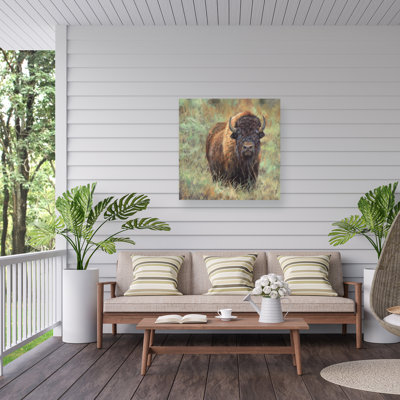 Toile d'extérieur David Stribble Bison