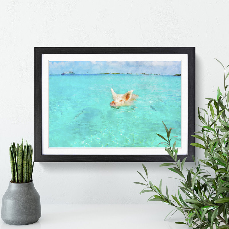 Swimming Pig - Picture Frame Painting, Black Framed, 36cm H x 48cm W x 2cm D