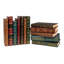 12 Piece Rebound Decorative Book Set