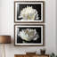 ALL AFLUTTER - ensemble de 2 reproductions-1761994158-1761994155-1778156556