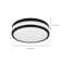 Guzzi LED Flush Mount